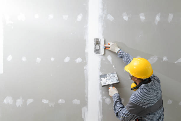 Best Mold Odor Removal Services  in Pinardville, NH