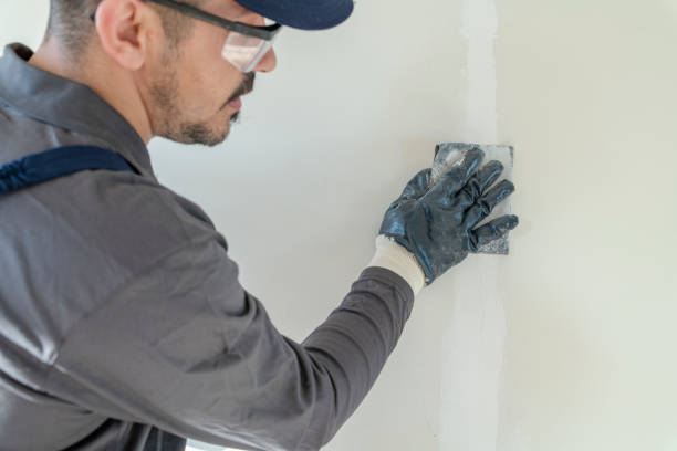 Best Environmental Consulting for Mold Prevention  in Pinardville, NH