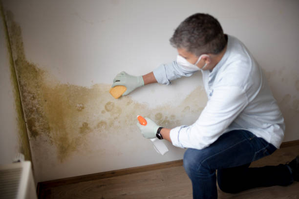 Best Airborne Mold Testing  in Pinardville, NH