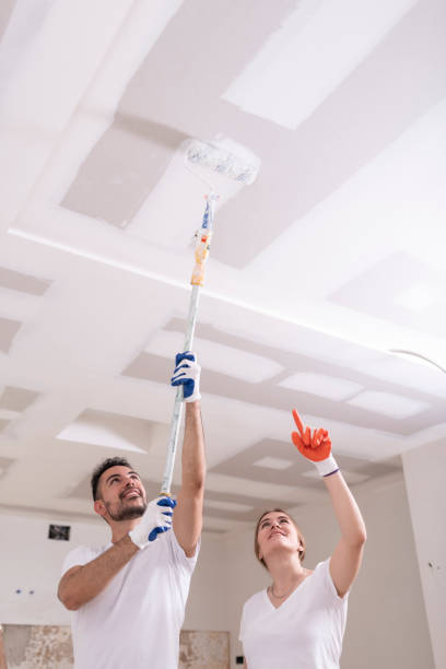 Best Dehumidification Services  in Pinardville, NH