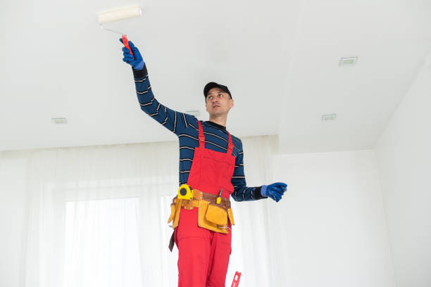 Best Industrial Mold Remediation  in Pinardville, NH